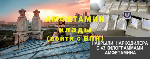 шишки Грязовец