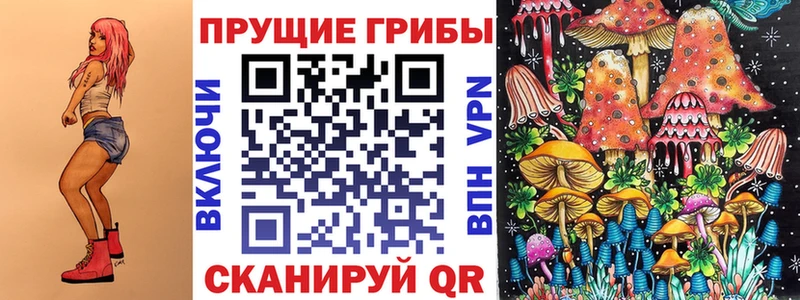 OMG зеркало  Тара  Псилоцибиновые грибы прущие грибы 